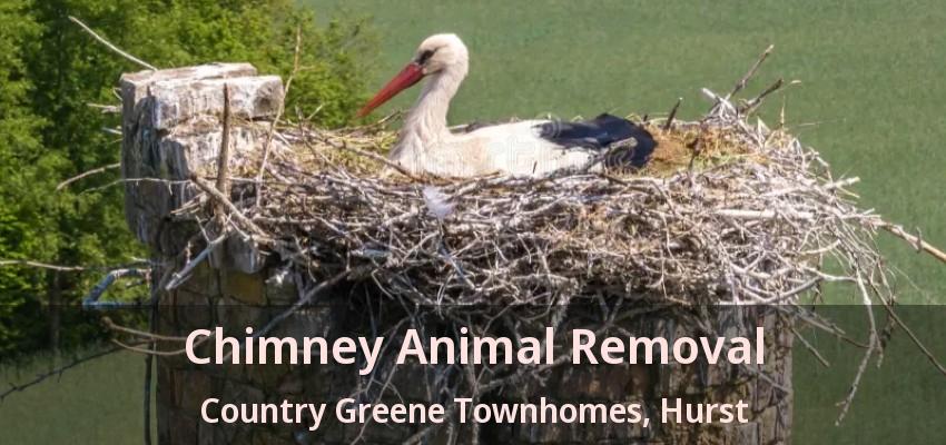 Chimney Animal Removal Country Greene Townhomes, Hurst - TX