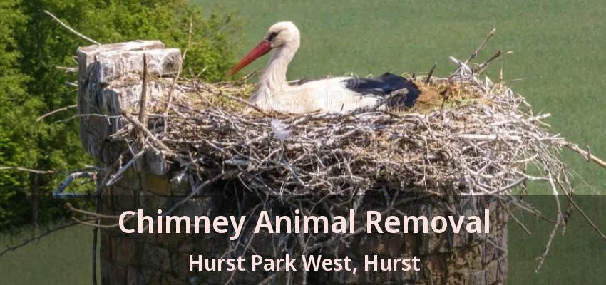 Chimney Animal Removal Hurst Park West, Hurst - TX