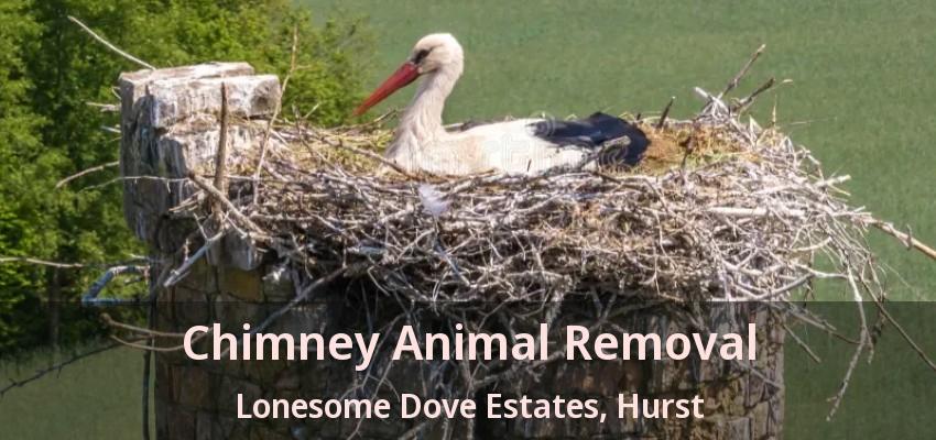 Chimney Animal Removal Lonesome Dove Estates, Hurst - TX