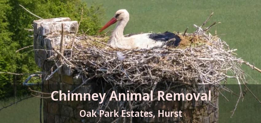 Chimney Animal Removal Oak Park Estates, Hurst - TX