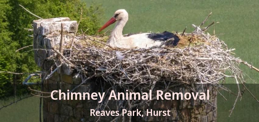Chimney Animal Removal Reaves Park, Hurst - TX
