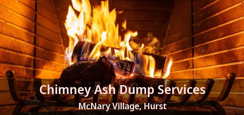 Chimney Ash Dump Services McNary Village, Hurst - TX