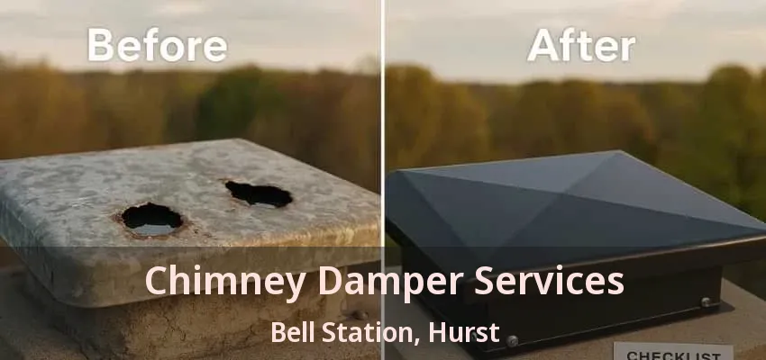 Chimney Damper Services Bell Station, Hurst - TX