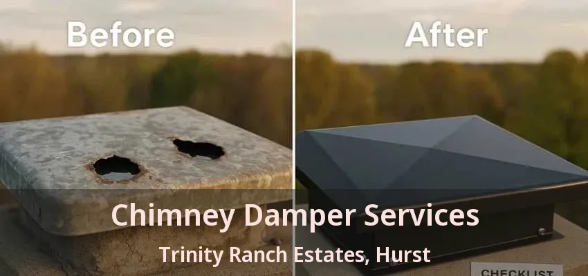 Chimney Damper Services Trinity Ranch Estates, Hurst - TX