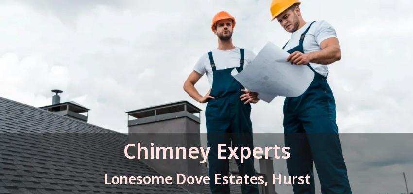 Chimney Experts Lonesome Dove Estates, Hurst - TX