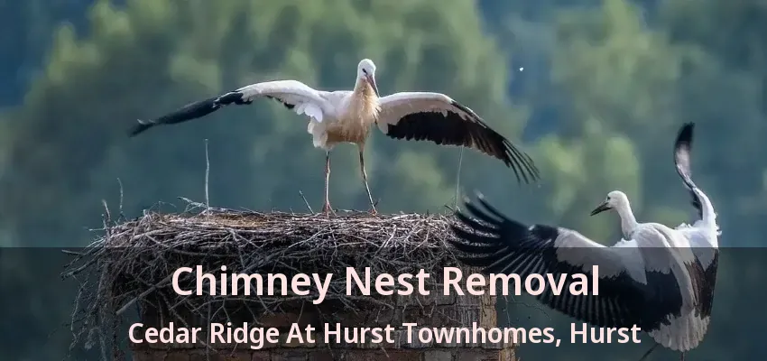 Chimney Nest Removal Cedar Ridge At Hurst Townhomes, Hurst - TX