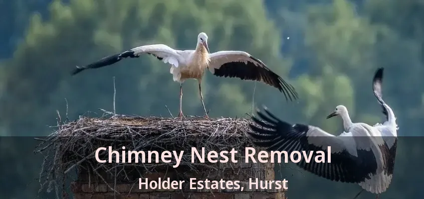 Chimney Nest Removal Holder Estates, Hurst - TX