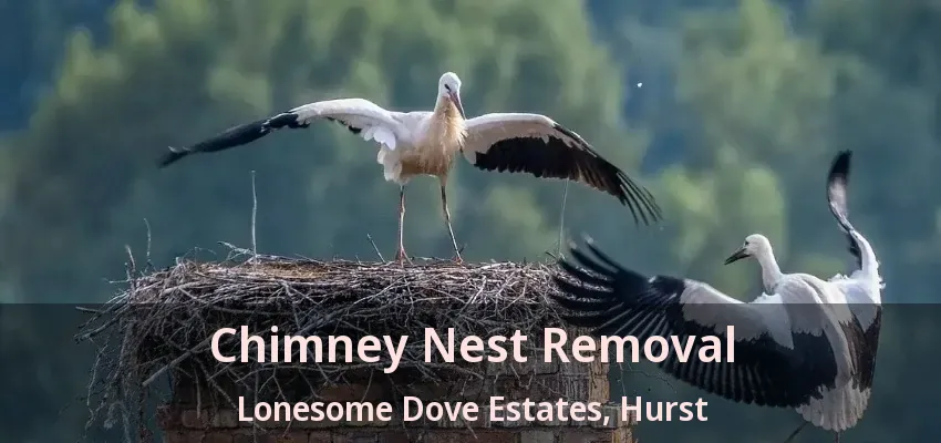 Chimney Nest Removal Lonesome Dove Estates, Hurst - TX