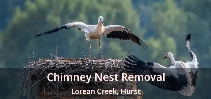 Chimney Nest Removal Lorean Creek, Hurst - TX
