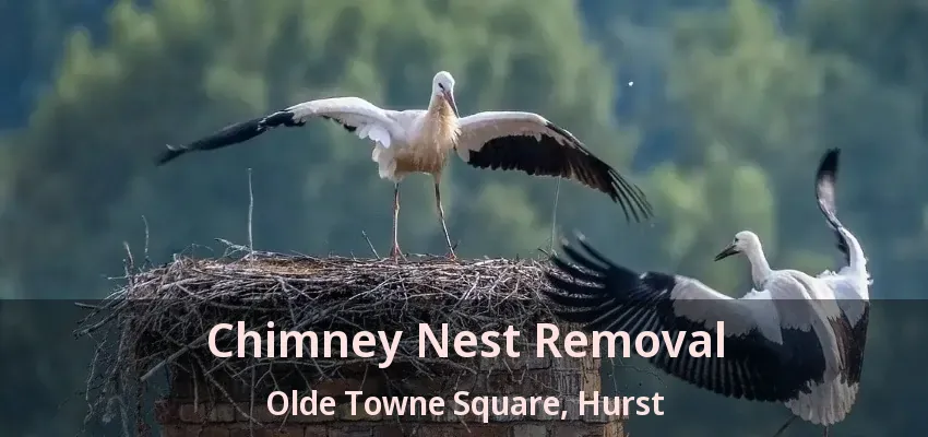 Chimney Nest Removal Olde Towne Square, Hurst - TX