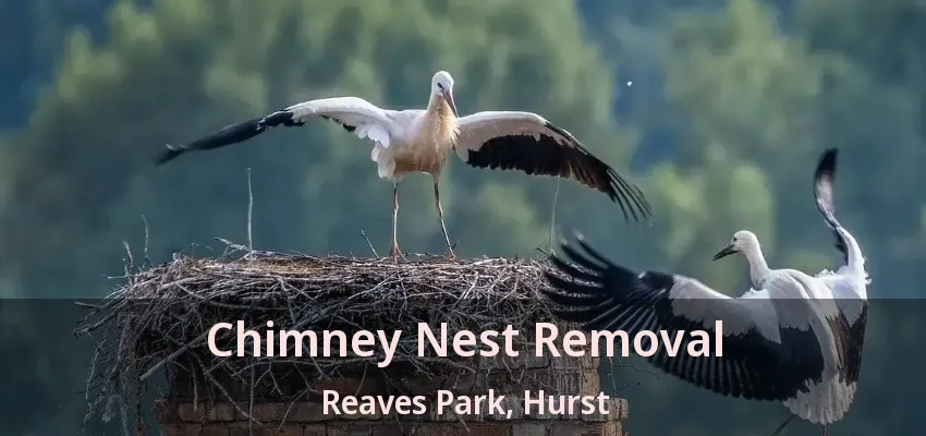 Chimney Nest Removal Reaves Park, Hurst - TX