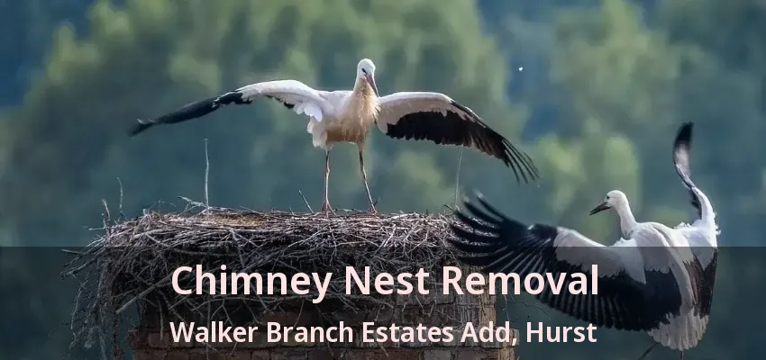 Chimney Nest Removal Walker Branch Estates Add, Hurst - TX