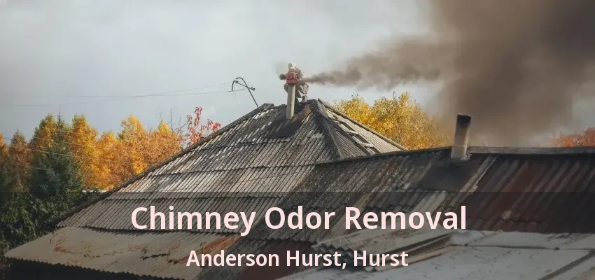 Chimney Odor Removal Anderson Hurst, Hurst - TX