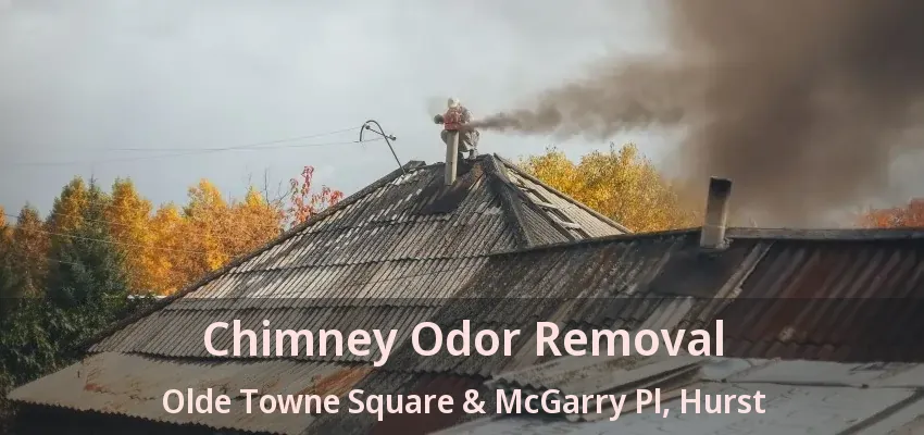 Chimney Odor Removal Olde Towne Square & McGarry Pl, Hurst - TX