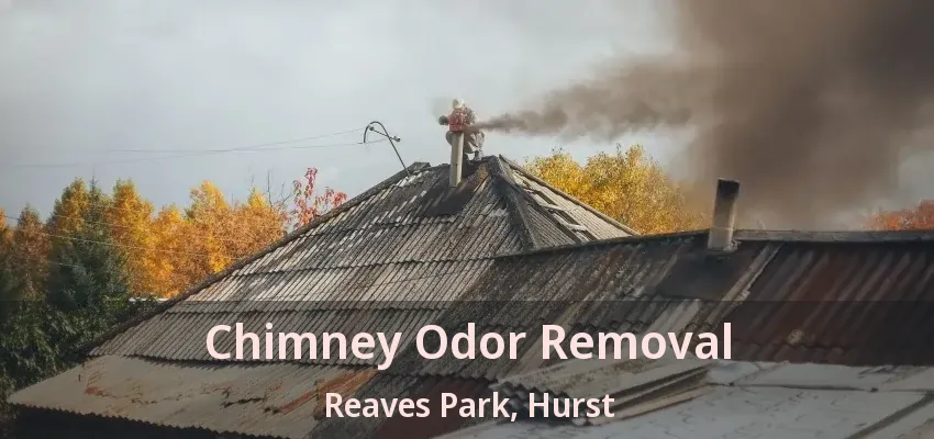 Chimney Odor Removal Reaves Park, Hurst - TX