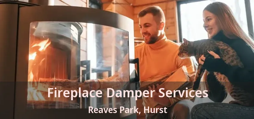 Fireplace Damper Services Reaves Park, Hurst - TX