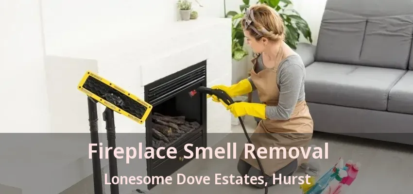 Fireplace Smell Removal Lonesome Dove Estates, Hurst - TX