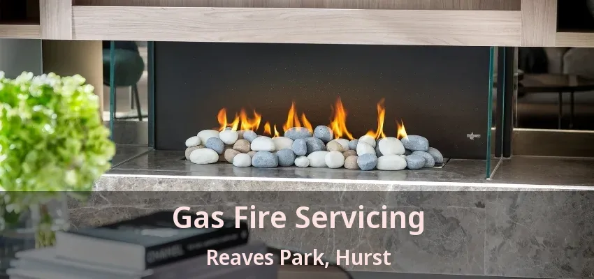 Gas Fire Servicing Reaves Park, Hurst - TX