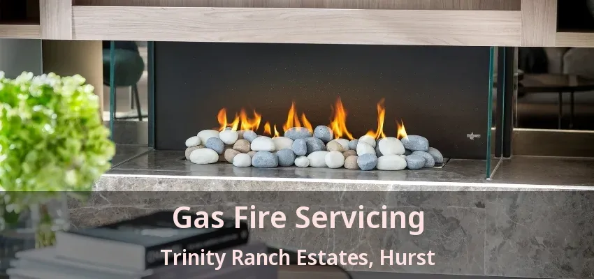Gas Fire Servicing Trinity Ranch Estates, Hurst - TX