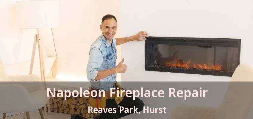 Napoleon Fireplace Repair Reaves Park, Hurst - TX