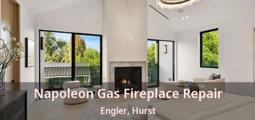 Napoleon Gas Fireplace Repair Engler, Hurst - TX