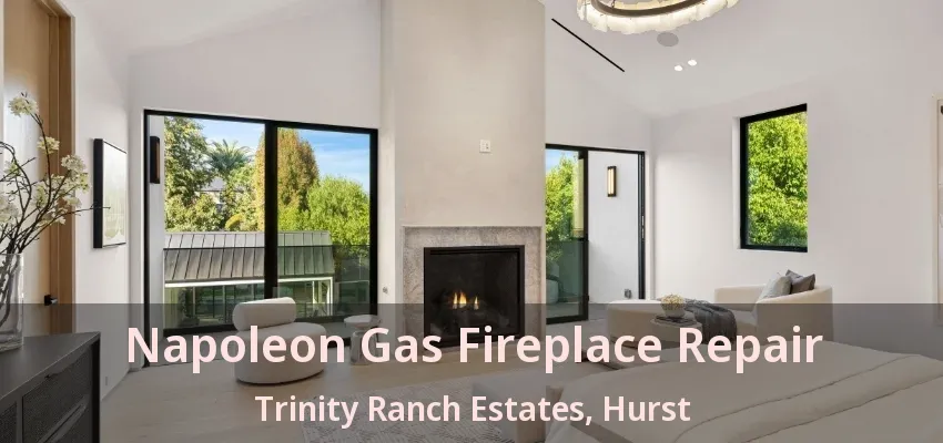 Napoleon Gas Fireplace Repair Trinity Ranch Estates, Hurst - TX