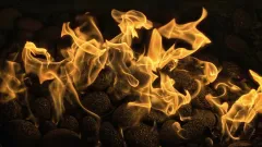 Fireplace Cleaning Service Reaves Park, Hurst