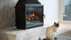 Wood Burning Fireplace Repair Reaves Park, Hurst